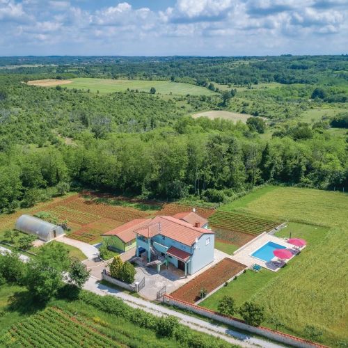Apartman Sveti Lovreč Pazenatički - CIC488 – Sveti Lovreč, Croația