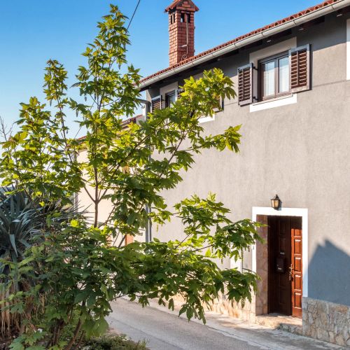 Apartman Ližnjan - CIZ269