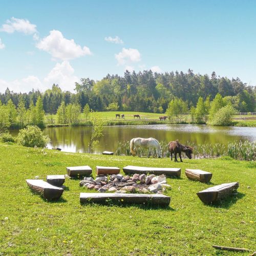Apartman Borcz - PPO488 – Borcz, Polska