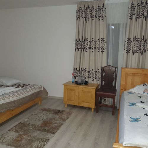 Pensiunea Ronicson Slătioara