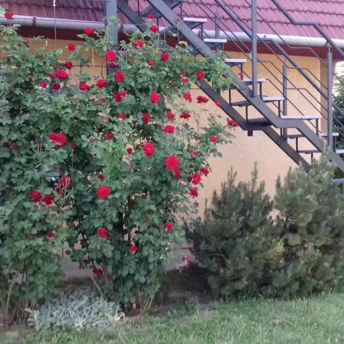 Betekints Apartman Gyula – Gyula, Węgry