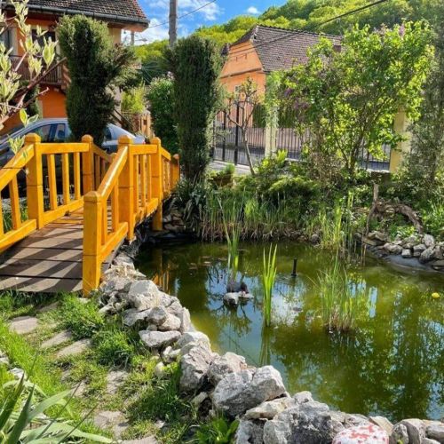 Pensiunea Ana Cristina Sighișoara – Sighișoara, România