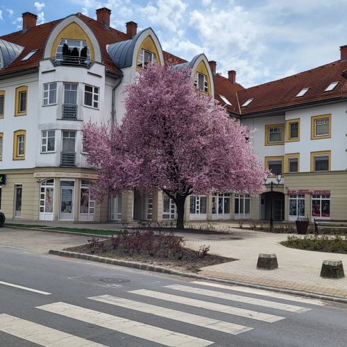 Pataki Apartman Sárospatak – Sárospatak, Maďarsko