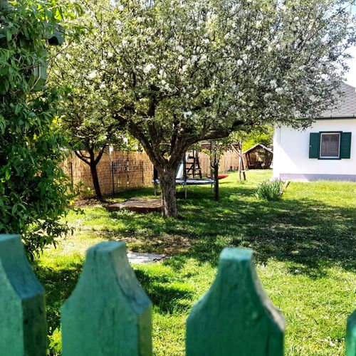 Zöld Orom Vendégház Békésszentandrás