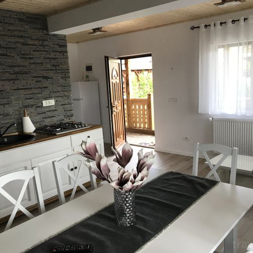 Casa Eli Vișeu de Sus – Vişeu de Sus, România