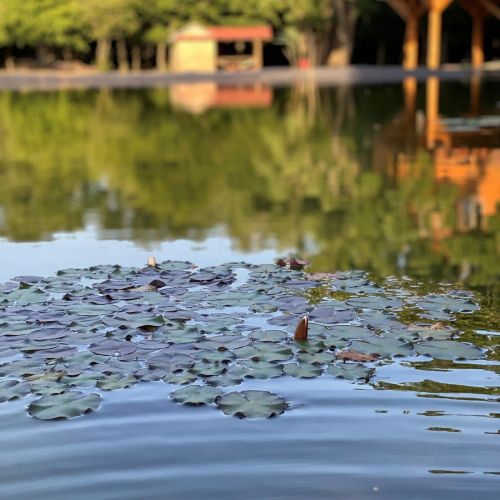 Park Vendégszobák Balatoni Élménypark – Csopak, Węgry