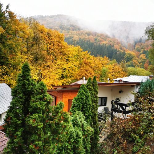 Casa Flandria Sinaia