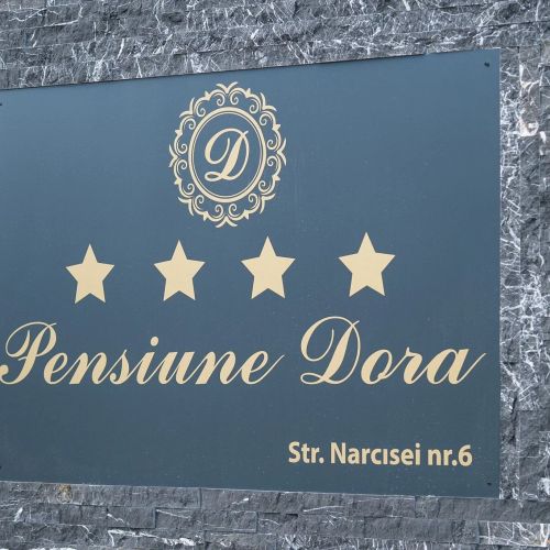 Pensiunea Dora Tășnad – Tăşnad, România
