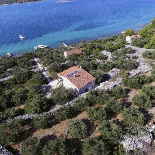 House Marko Tkon II