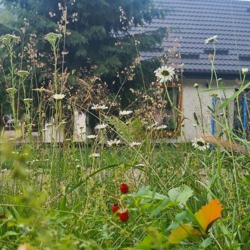 Casa Sebi Vatra Dornei