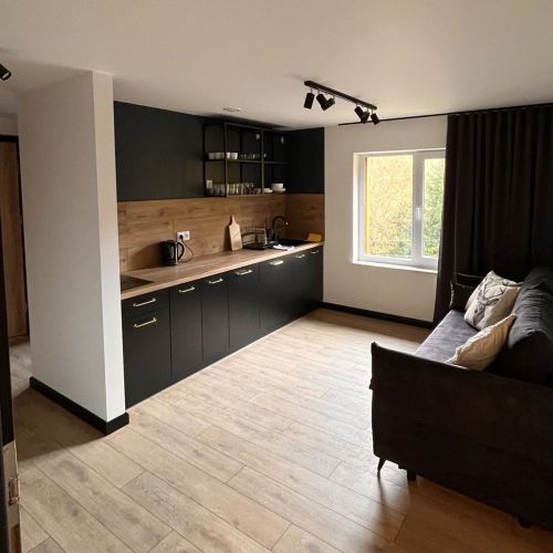 Apartamenty Drewno i Kamień Strzebowiska Wetlina – Wetlina, Polska