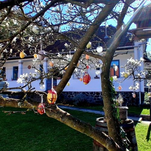 Kiskilenc Vendégház Szarvaskő