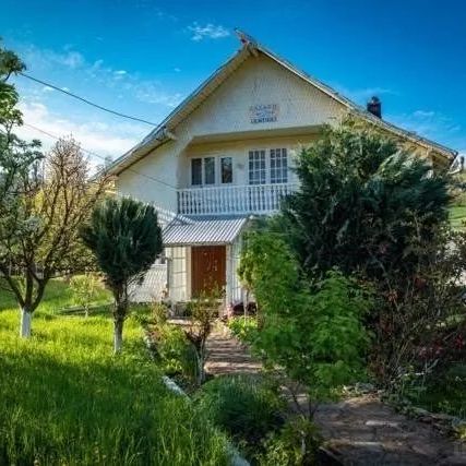 Vila Firuta Borșa