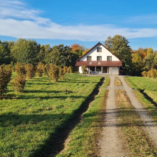 Cabana Oana pe Sebeș Filea