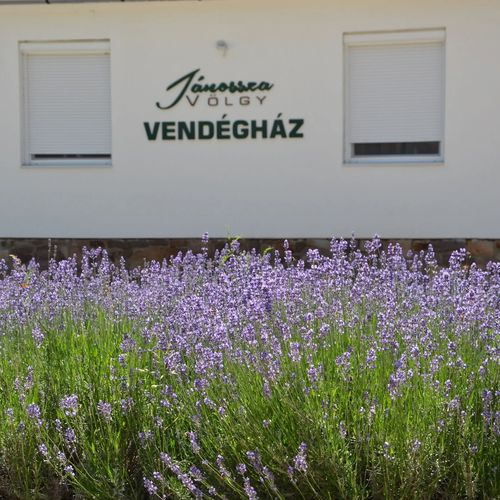 Jánossza-völgy Vendégház Ózd