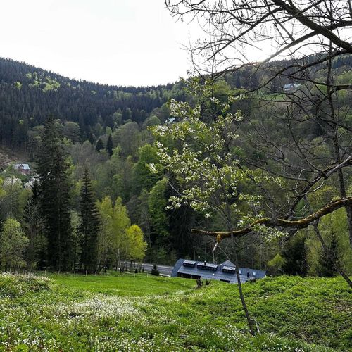 Rákosárna Suites & Apartments Špindlerův Mlýn – Špindlerův Mlýn, Česká republika