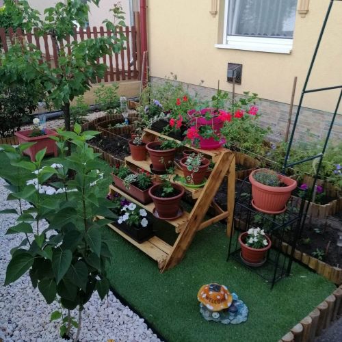 Vadvirág Vendégház Cserkeszőlő – Cserkeszőlő, Maďarsko