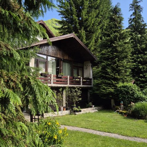 Căsuța Floare de Colț Clopotiva