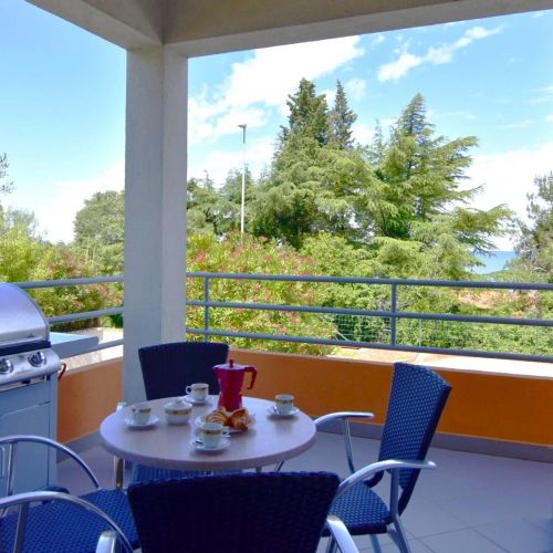 Apartman Raul Dajla