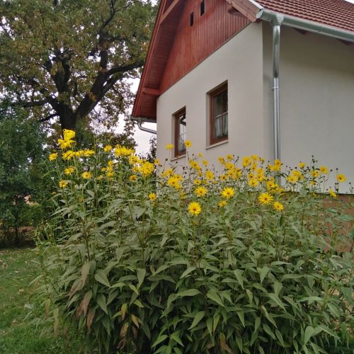 Lívia Vendégház Őriszentpéter – Őriszentpéter, Ungaria
