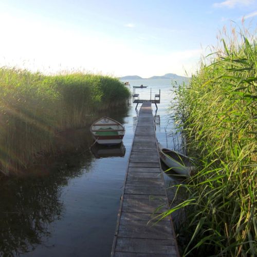 Mackó Nyaraló Balatonfenyves – Balatonfenyves, Ungaria