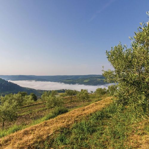 Vendégház Grožnjan - Grisignana - CIL751 – Grožnjan, Croația