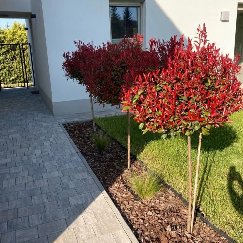 Rizling Apartmanház**** Balatonalmádi – Balatonalmádi, Ungaria