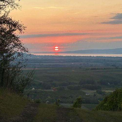 Késa Escape Cottege Balatonlelle – Balatonlelle, Ungaria