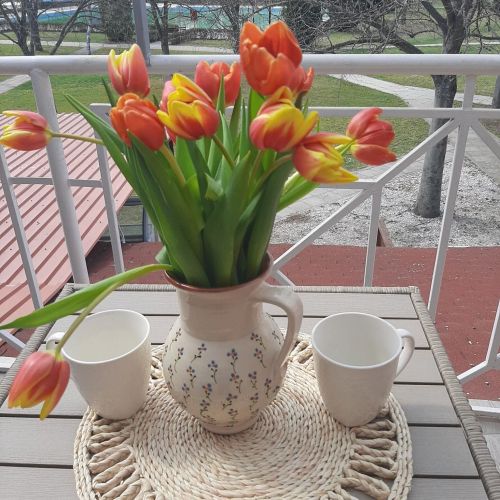 Egniss Apartman 2 Bogács – Bogács, Ungaria