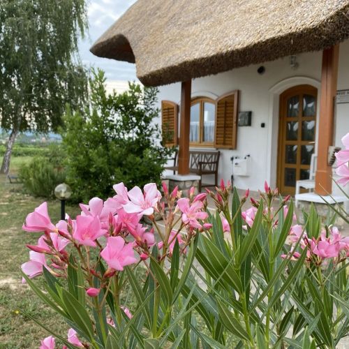 Emese Apartman Cserszegtomaj