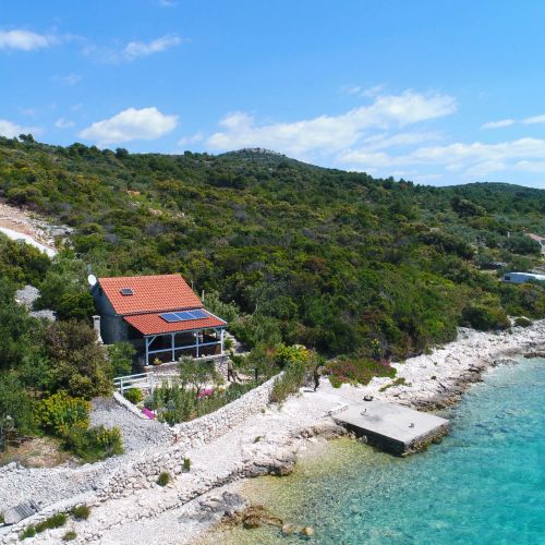 House Starfish Tkon