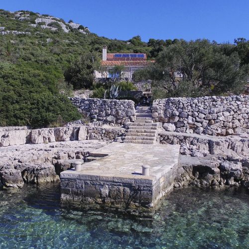 House Lemon Tree Tkon