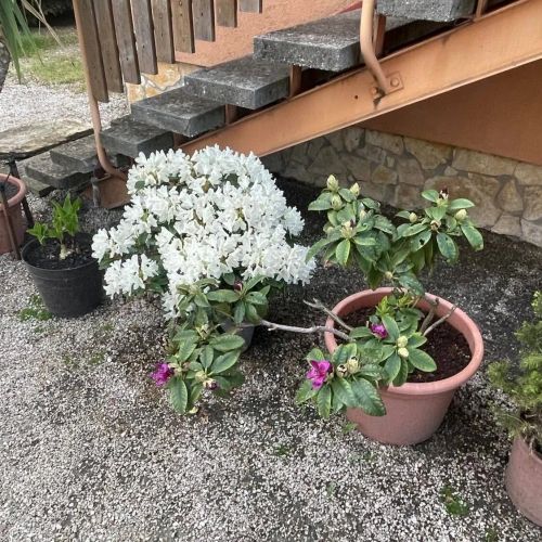 Magdolna Apartman Keszthely – Keszthely, Ungaria