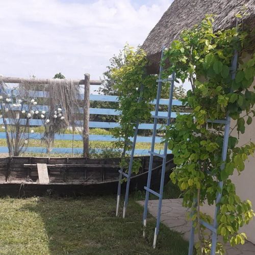 Pensiunea Rustic Sarichioi – Sarichioi, România