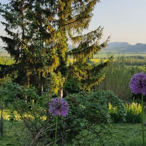 Öreghegy Vendégház Szentbékkálla – Szentbékkálla, Maďarsko