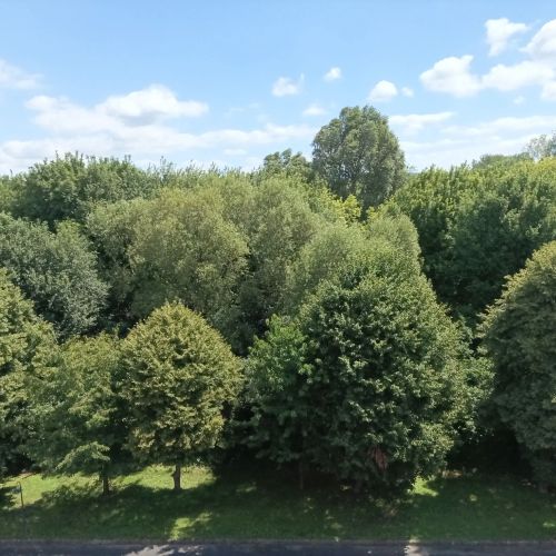 Szügyi Apartman Hévíz – Hévíz, Ungaria