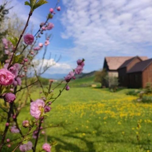 Cabana Organicle Lodge & Tiny Sâncrăieni – Sâncrăieni, România