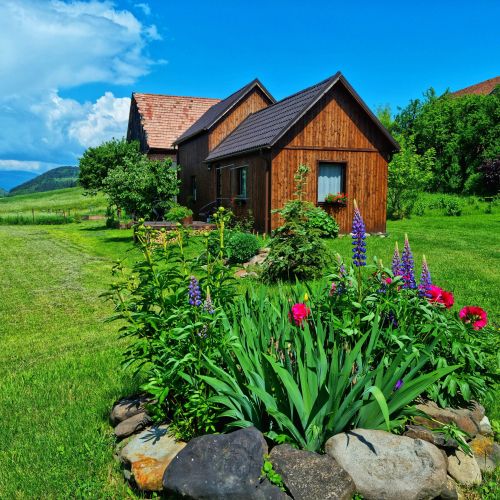 Cabana Organicle Lodge & Tiny Sâncrăieni – Sâncrăieni, România