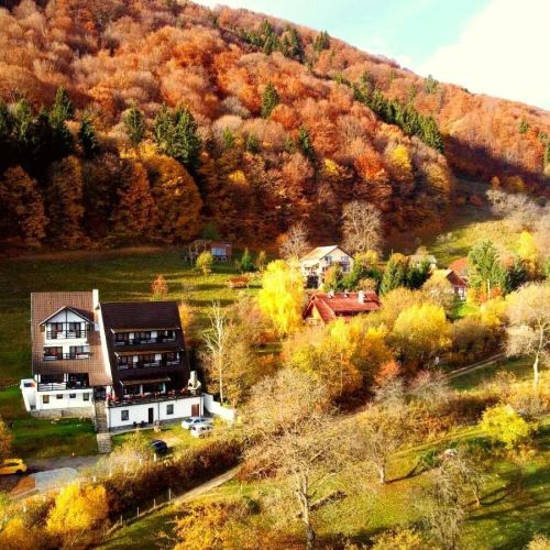 Pensiunea Ursuleț Bran – Bran, România