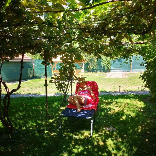 Bagolyvár Vendégház Magyarszombatfa*** – Magyarszombatfa, Ungaria