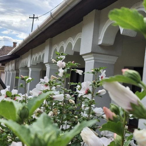 Téli Berek Vendégház Abod