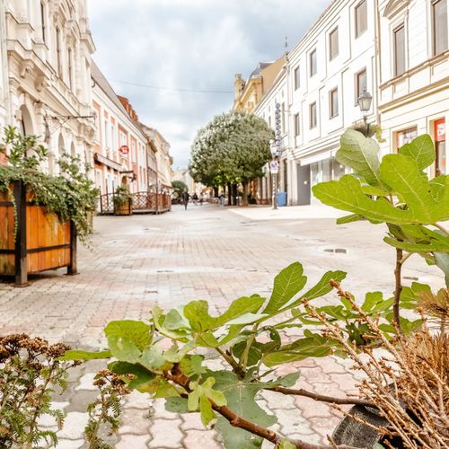 Király 40 Apartman Pécs