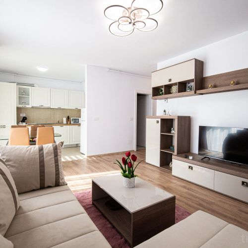 Claseb Apartment Timișoara