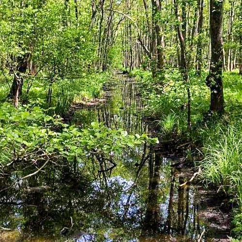 Vendégház Smołdzino - PPO076 – Smołdzino, Polonia