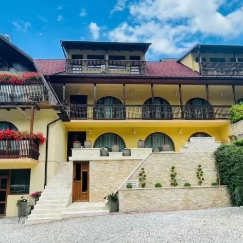 Pensiunea Abigel Sovata