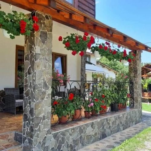 Pensiunea Casa Ancuța Vadu Izei