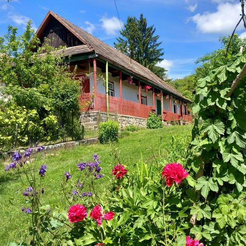 Szőlősor Vendégház Terény