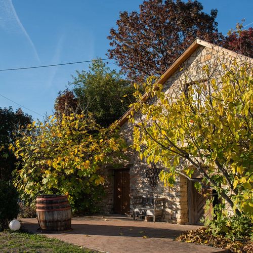 Hantos Pince Vendégház Balatonszőlős