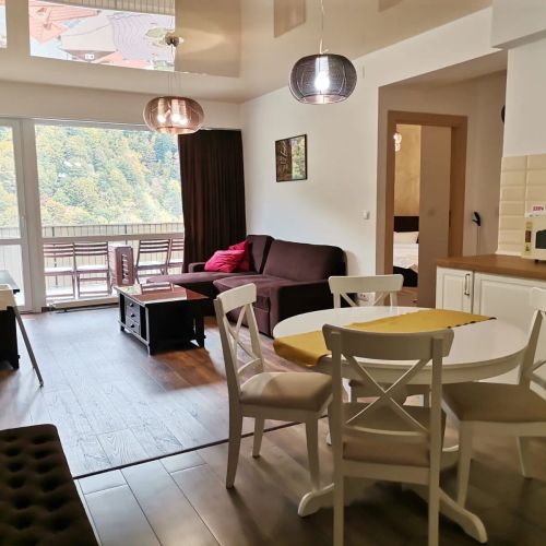 Amazing Brownie by Miro Apartment Sinaia