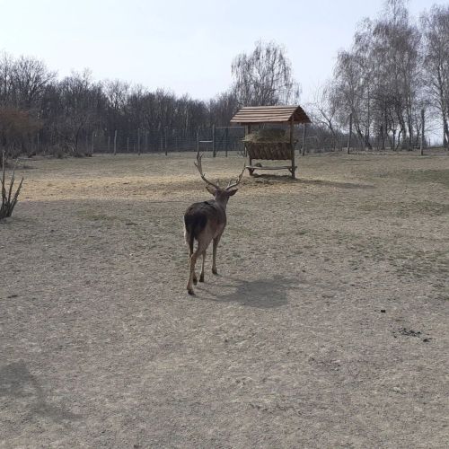 Bíbic Apartman B Kápolnásnyék – Kápolnásnyék, Węgry
